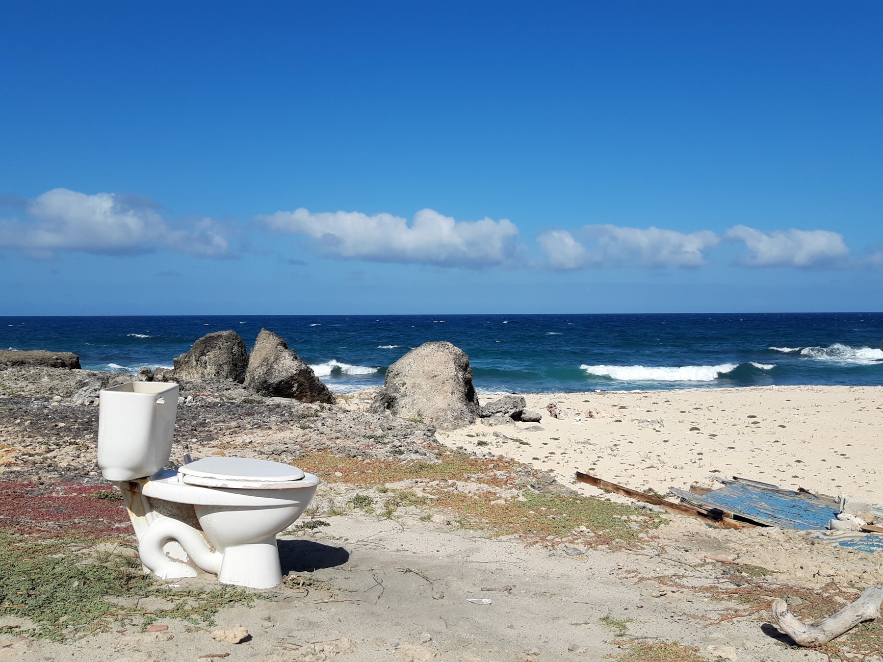 WC dans la nature