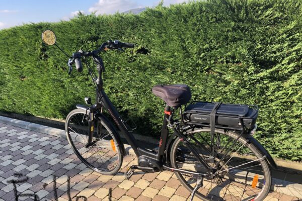 Bicicletta elettrica nera parcheggiata davanti a una siepe verde.