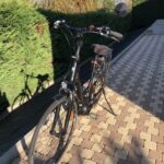 Vélo noir garé sur pavé près de haies.