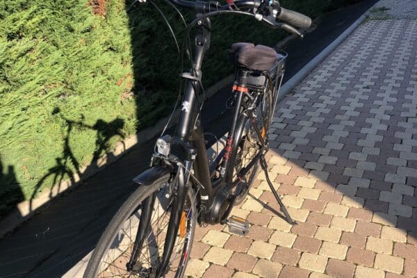 Bicicletta nera parcheggiata sul marciapiede vicino alle siepi.