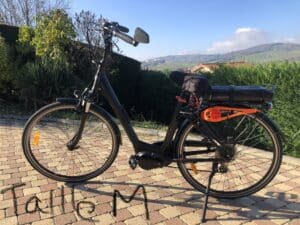 Vélo électrique noir stationné devant un paysage verdoyant.