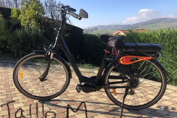 Vélo électrique noir stationné devant un paysage verdoyant.