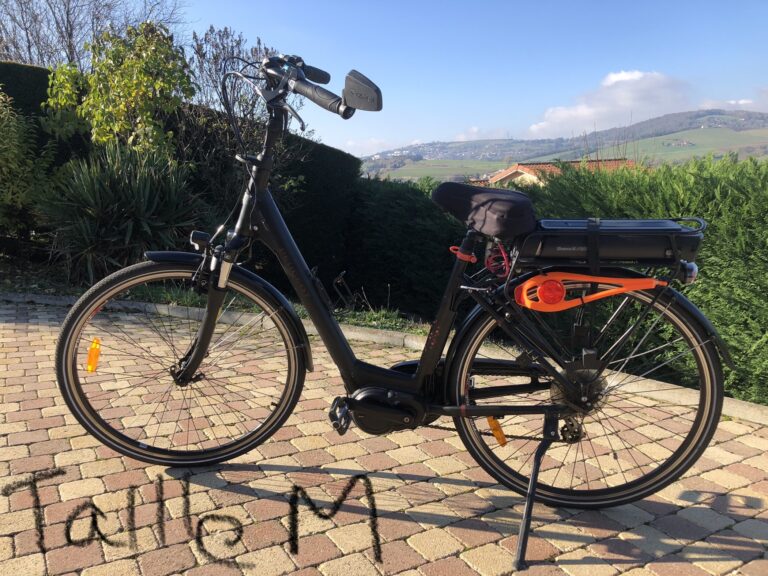 Vélo électrique noir stationné devant un paysage verdoyant.