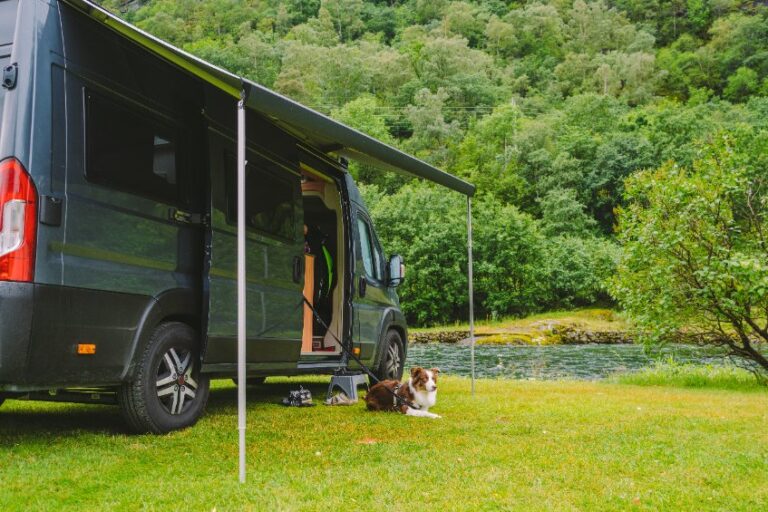 Camping-car au bord de rivière, chien assis à côté