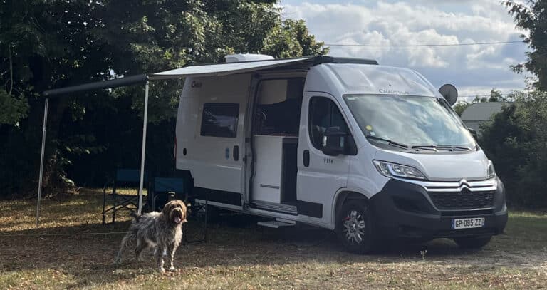 Camping-car et chien en nature