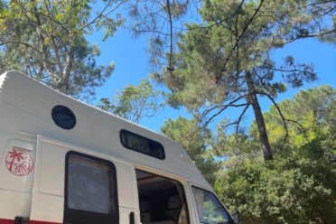 Camping-car rouge et blanc sous pins lumineux