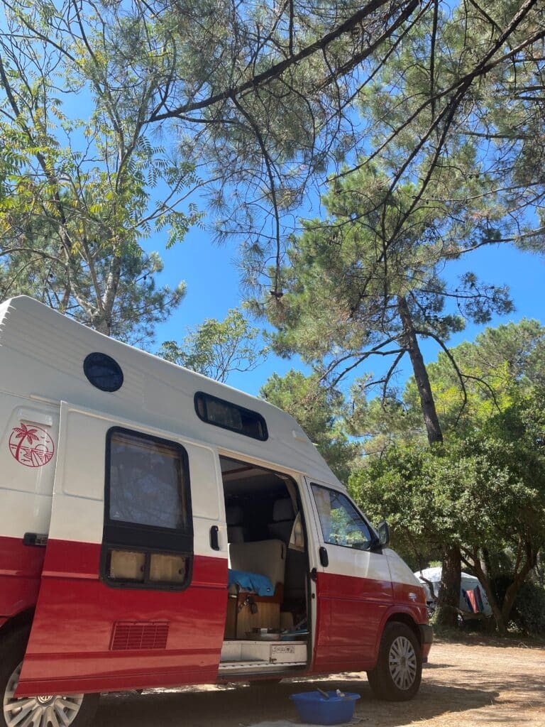 Camping-car rouge et blanc sous pins lumineux