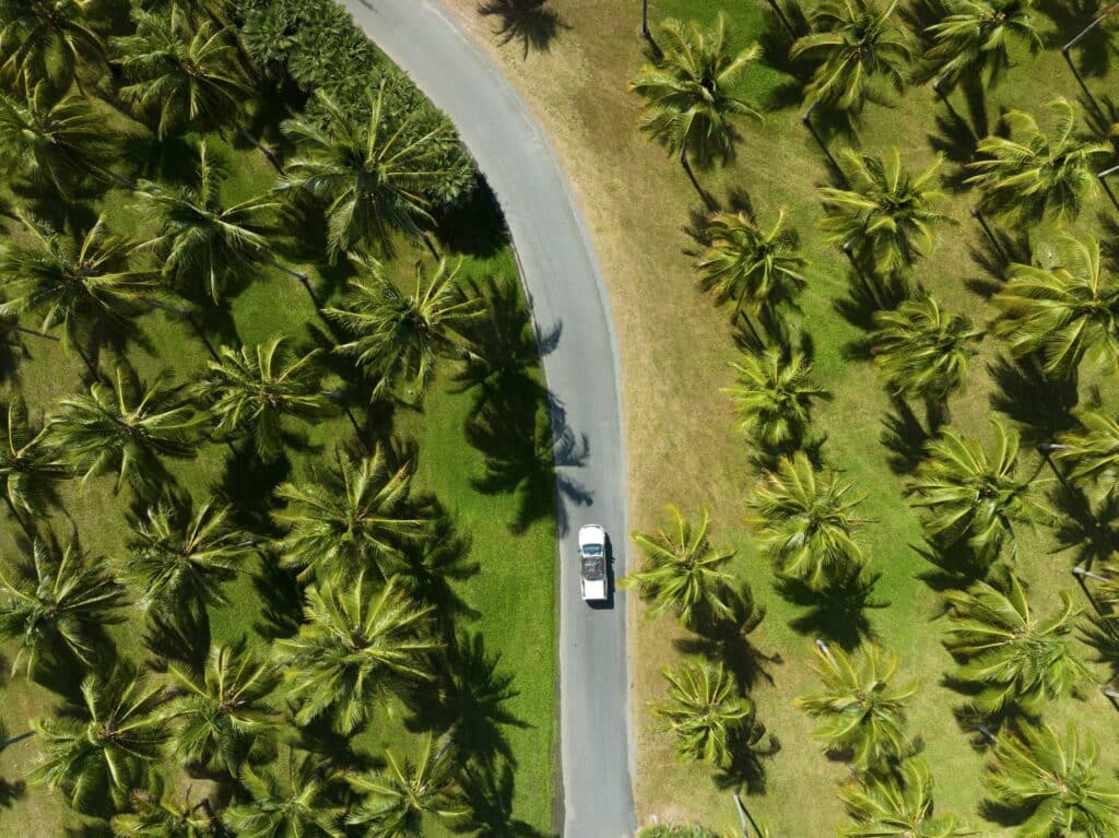 Vue aérienne voiture route palmiers tropicaux