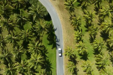Vue aérienne voiture route palmiers tropicaux