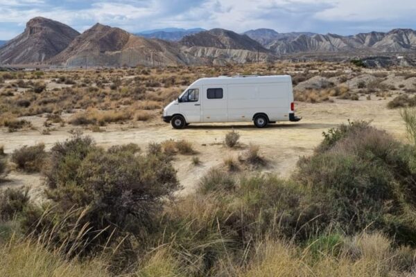 WhatsApp-Image-2025-09-20-at-10.11.17-PM