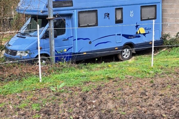 inbound1949501491359396873