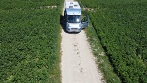 Camping-car profilé Bürstner Van 620 Fiat
