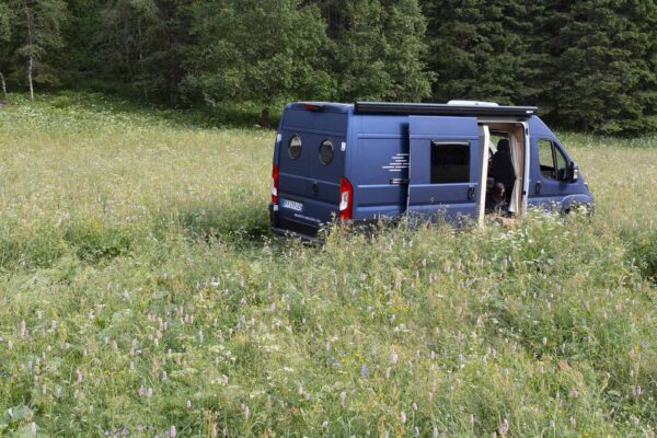 Van aménagé bleu dans prairie fleurie