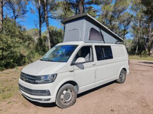 Van aménagé blanc avec toit relevable en forêt