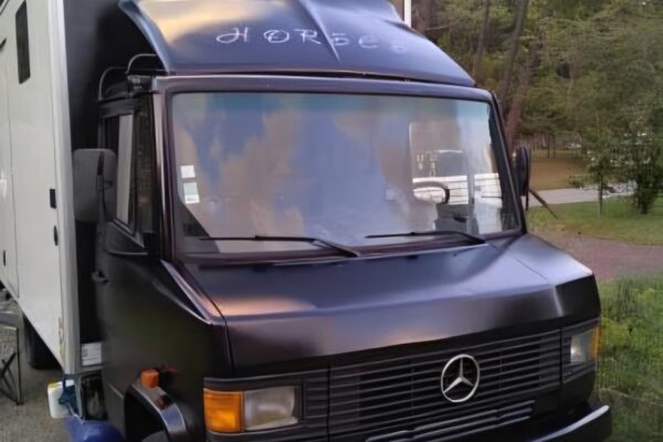Camion Mercedes noir stationné près d’arbres