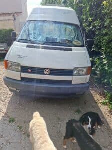Camping-car Volkswagen blanc avec deux chiens devant