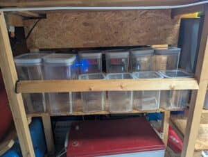 Étagère en bois avec boîtes plastiques transparentes