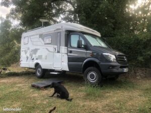 Camping-car blanc stationné près d'un arbre, avec chien.