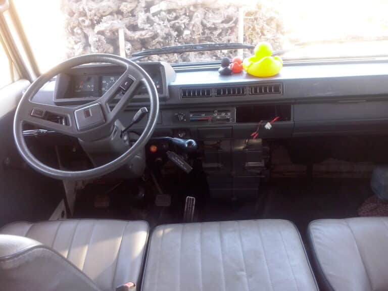 Intérieur de voiture classique avec canards décoratifs